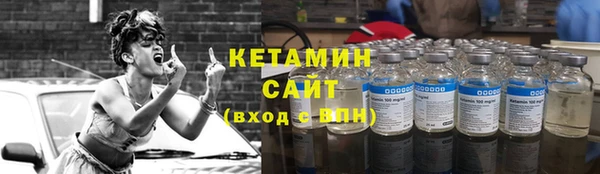 прущие грибы Лабытнанги