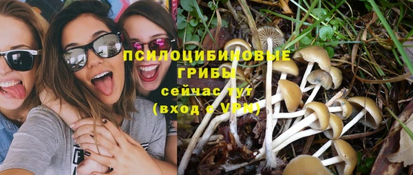 ECSTASY Кулебаки