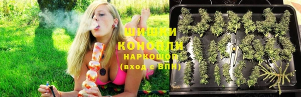 гидропоника Куйбышев