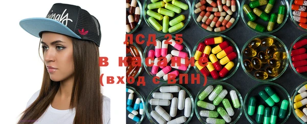 стаф Кукмор