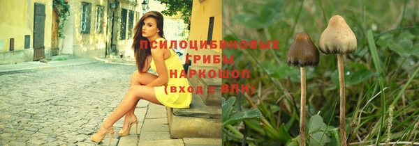 гидропоника Куйбышев
