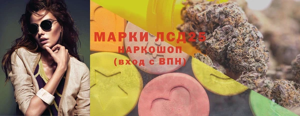 стаф Кукмор