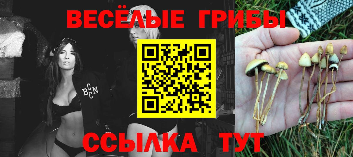 Маркс  Псилоцибиновые грибы Magic Shrooms  Вход с VPN 